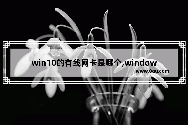 win10的有线网卡是哪个,windows10用无线网卡