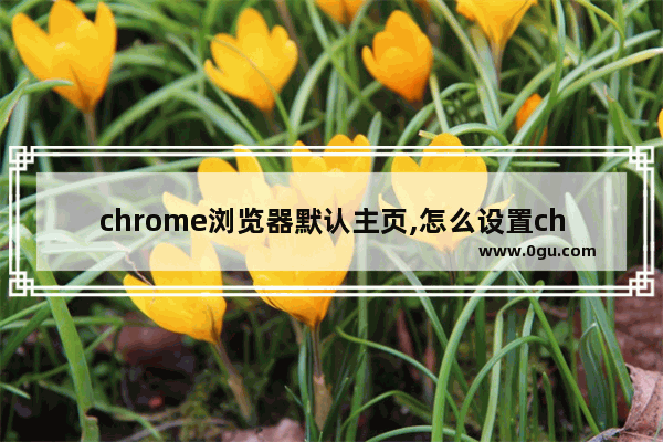 chrome浏览器默认主页,怎么设置chrome浏览器主页