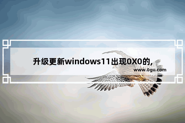 升级更新windows11出现0X0的,windows10错误代码0x0