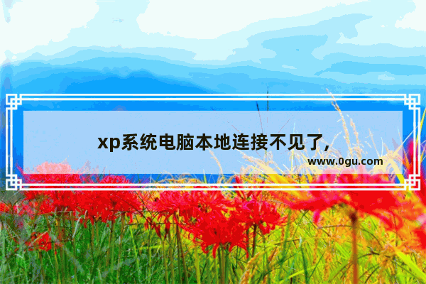 xp系统电脑本地连接不见了,