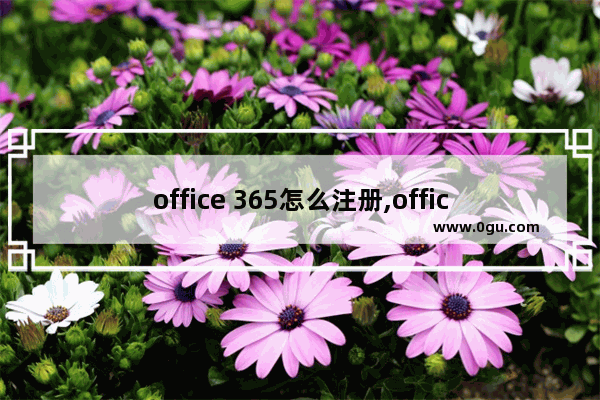 office 365怎么注册,office365教育版