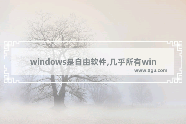 windows是自由软件,几乎所有windows应用程序都支持