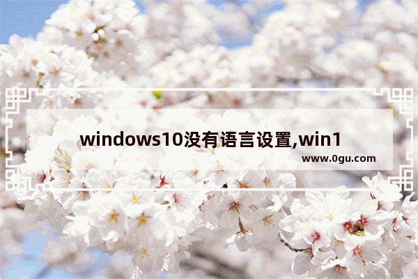 windows10没有语言设置,win10安装语言不受系统支持