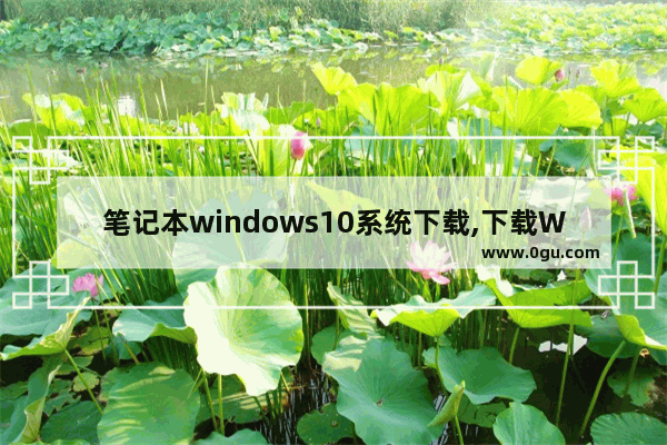 笔记本windows10系统下载,下载Win10系统