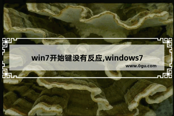 win7开始键没有反应,windows7键盘没反应