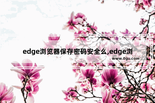 edge浏览器保存密码安全么,edge浏览器记录密码