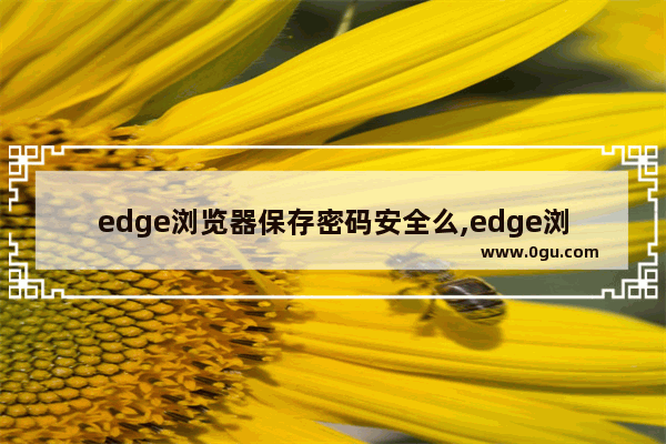 edge浏览器保存密码安全么,edge浏览器记录密码