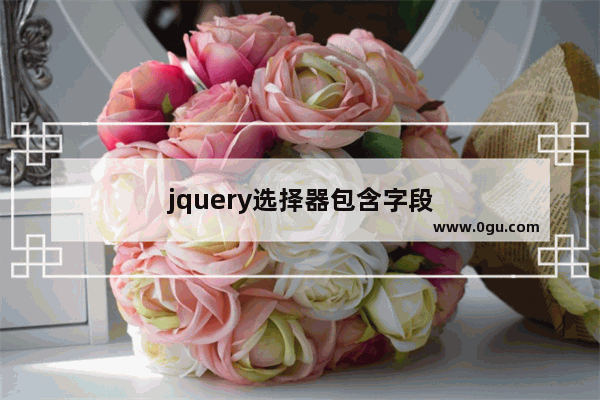 jquery选择器包含字段