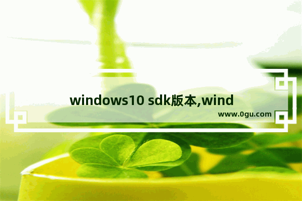 windows10 sdk版本,windows10开发者预览版