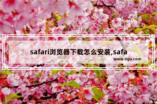 safari浏览器下载怎么安装,safari浏览器下载的应用怎么安装