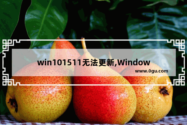 win101511无法更新,Windows11无法更新