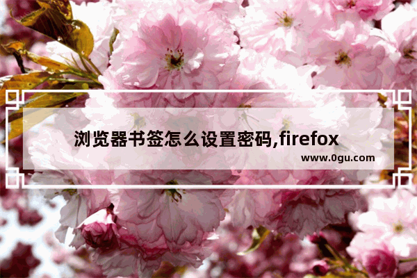 浏览器书签怎么设置密码,firefox 导入书签