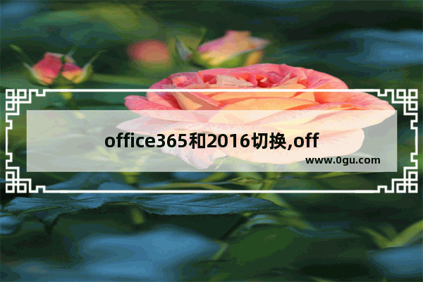 office365和2016切换,office2019切换到office365