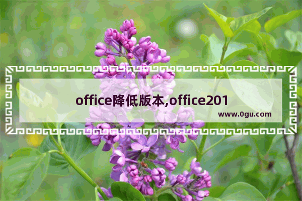 office降低版本,office2019怎么降低版本