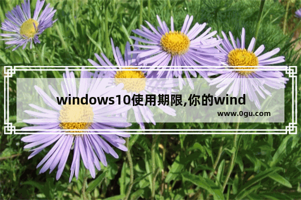 windows10使用期限,你的windows10版本服务期限