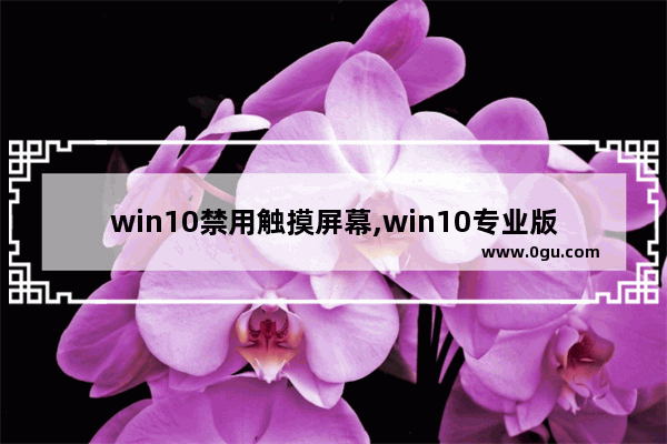 win10禁用触摸屏幕,win10专业版怎么禁用触摸板