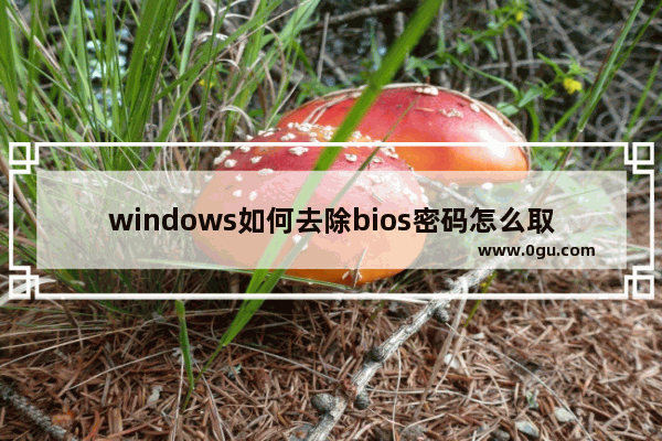 windows如何去除bios密码怎么取消,win10怎么关闭bios管理员密码和开机密码