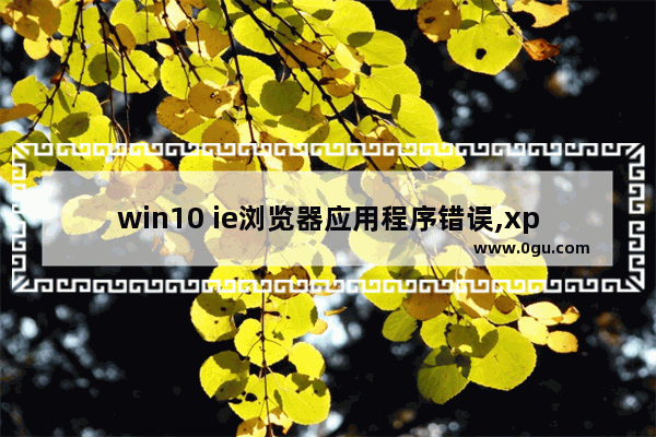 win10 ie浏览器应用程序错误,xp系统iexplore.exe应用程序错误怎么办