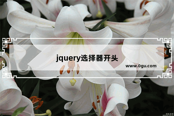 jquery选择器开头