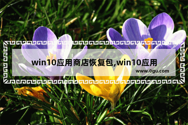 win10应用商店恢复包,win10应用商店恢复指令