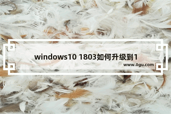 windows10 1803如何升级到1903,win101809升级1903