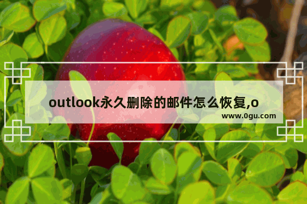 outlook永久删除的邮件怎么恢复,outlook邮箱邮件消失