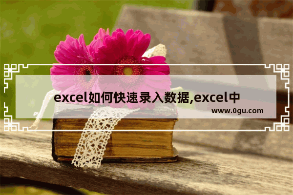 excel如何快速录入数据,excel中快速录入数据的方法有哪些