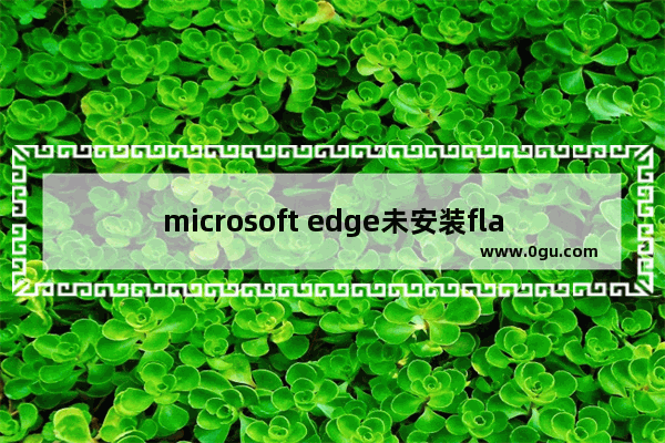 microsoft edge未安装flash,microsoft edge浏览器无法运行flash