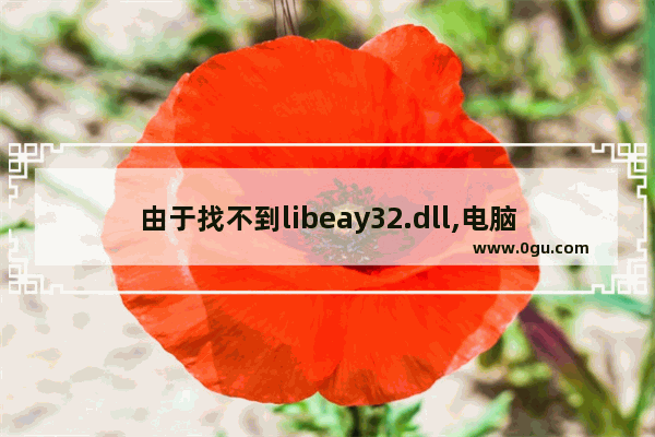 由于找不到libeay32.dll,电脑提示丢失libeay32.dll