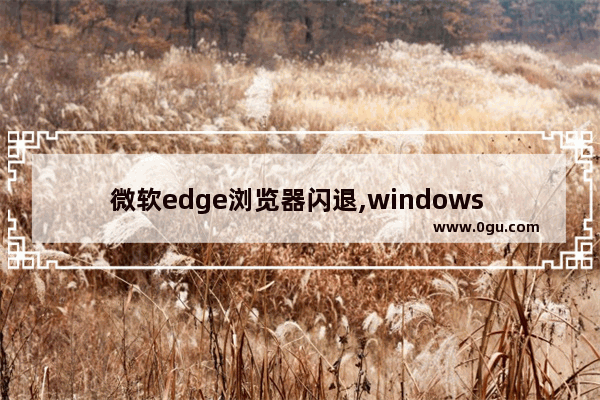 微软edge浏览器闪退,windows edge闪退