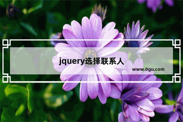 jquery选择联系人