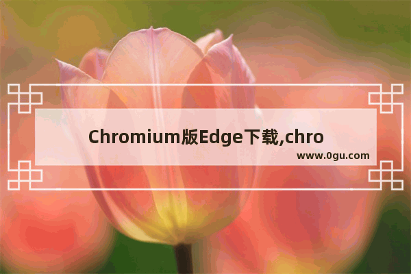 Chromium版Edge下载,chromium内核的edge浏览器 1