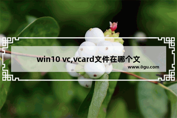 win10 vc,vcard文件在哪个文件夹