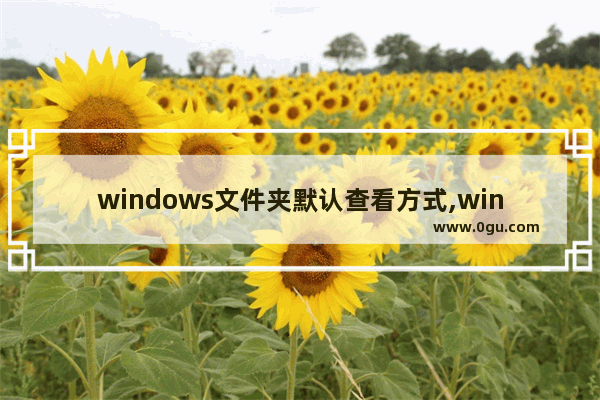 windows文件夹默认查看方式,window10文件查看方式怎样改