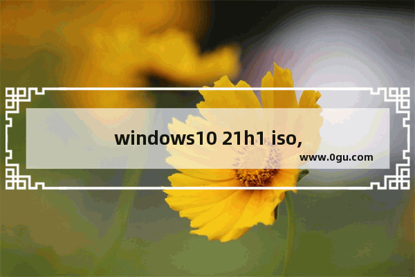 windows10 21h1 iso,