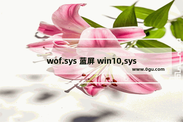 wof.sys 蓝屏 win10,sysdiagwin10sys蓝屏