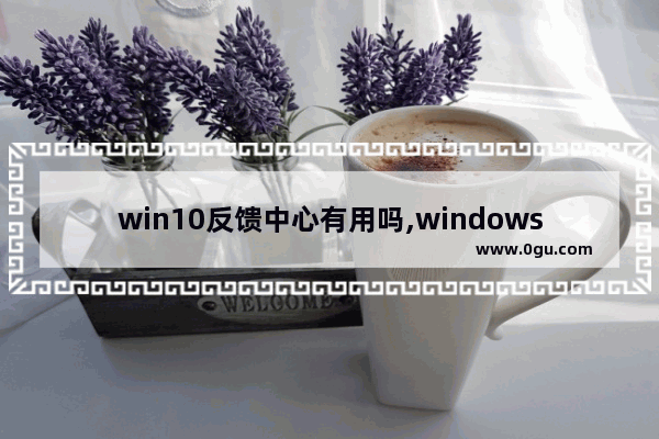 win10反馈中心有用吗,windows 反馈中心