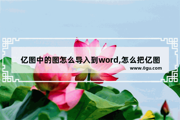 亿图中的图怎么导入到word,怎么把亿图做的图放到Word