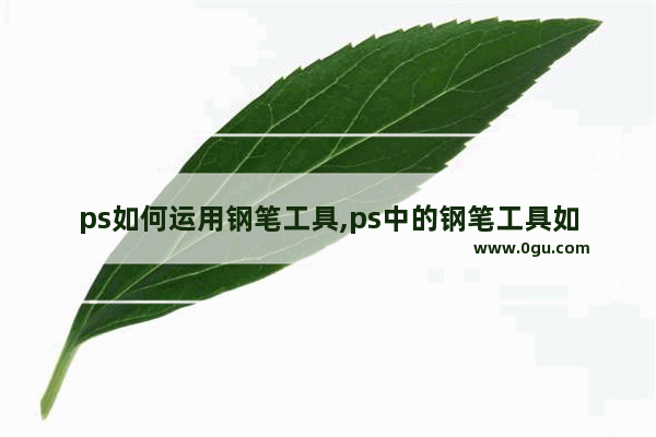 ps如何运用钢笔工具,ps中的钢笔工具如何使用