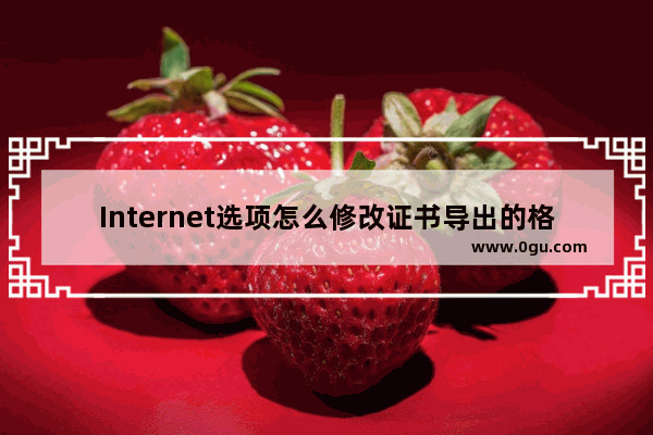 Internet选项怎么修改证书导出的格式?