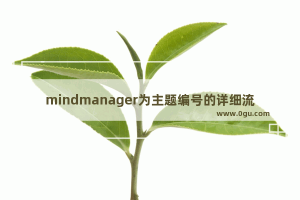 mindmanager为主题编号的详细流程介绍