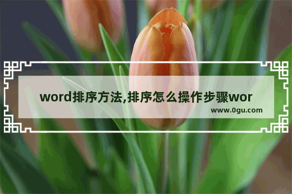 word排序方法,排序怎么操作步骤word