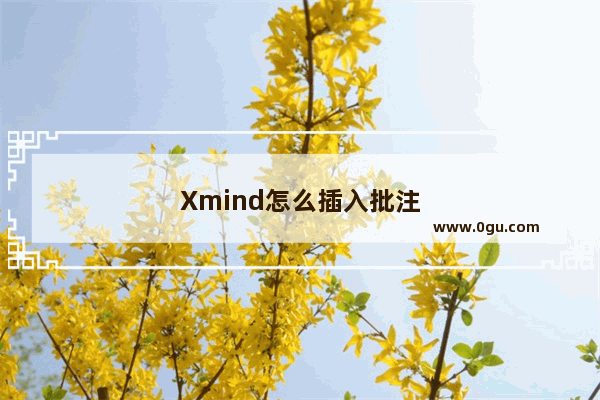 Xmind怎么插入批注