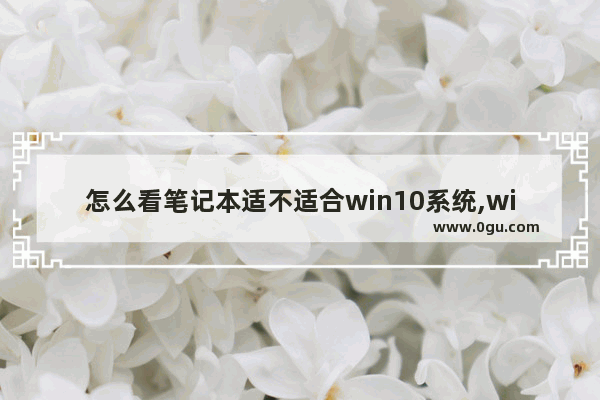 怎么看笔记本适不适合win10系统,win10电脑怎么看性能评分