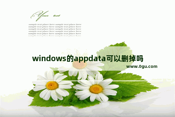 windows的appdata可以删掉吗,win10appdata能删除吗