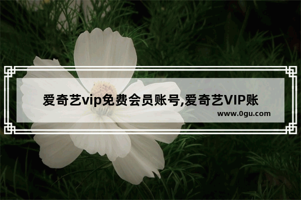 爱奇艺vip免费会员账号,爱奇艺VIP账号分享 3