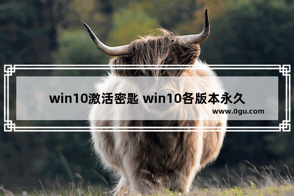 win10激活密匙 win10各版本永久激活,最新win10专业版激活密钥