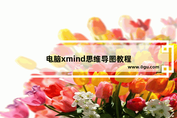 电脑xmind思维导图教程