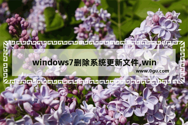 windows7删除系统更新文件,win7旗舰版检查更新