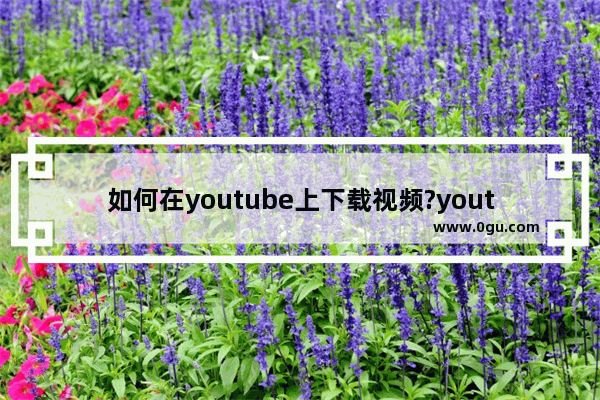 如何在youtube上下载视频?youtube下载视频步骤介绍